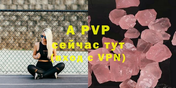 прущие грибы Арсеньев