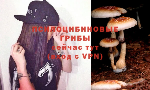 прущие грибы Арсеньев