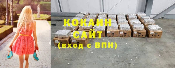 ГАЛЛЮЦИНОГЕННЫЕ ГРИБЫ Пестово