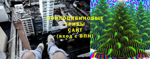 прущие грибы Арсеньев