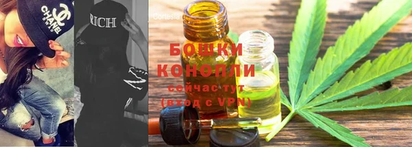 прущие грибы Арсеньев