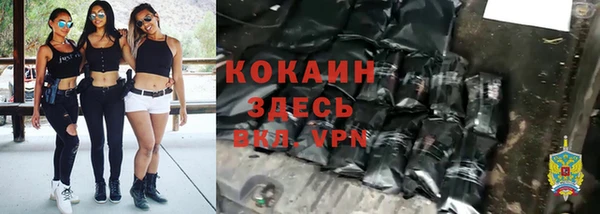 прущие грибы Арсеньев